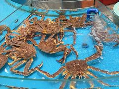 -舌尖上·霞浦滩涂海鲜·新闽菜(总店)