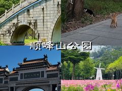 -凤城·食都