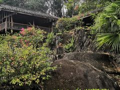 -深圳国际园林花卉博览园