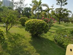 -荔湾区儿童公园