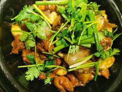 老檀汁鲍鱼焖鸡-七哥港式茶餐厅(亮马桥总店)
