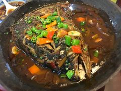 -呼吸森林·生态农庄农家乐私房菜