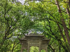 -灵岩山风景区
