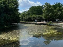 -长白岛森林公园