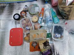 -永定河休闲森林公园