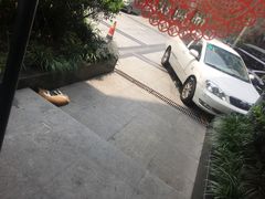 -爱侣·安琦尔宠物医院·中兽医针灸·心内科·狂犬免疫点(宝山区院)