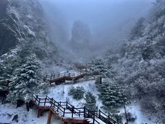 -秦岭天竺山景区