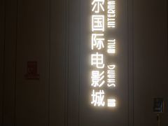 -武商摩尔影城(国广IMAX激光店)