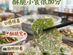 -紫藤园·天目湖大鱼头(南山竹海店)