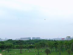 -盘龙城遗址博物院