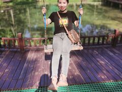 -黄海国家森林公园