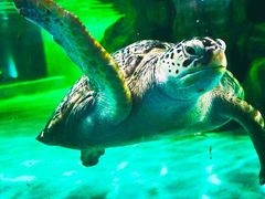 -常州海昌海洋探索馆