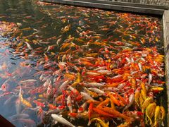 -番禺宾馆丽苑厅