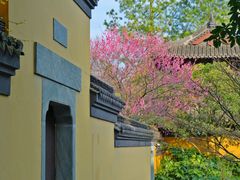 -慧因高丽寺
