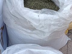 -济南奥林匹克体育中心体育场