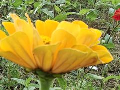 -野鸭湖国家湿地公园