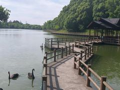 -宁波野生动物园