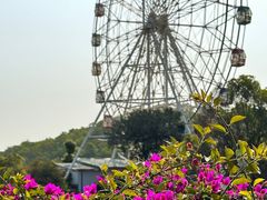 -观澜湖生态运动公社