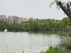 -昆山城市生态森林公园