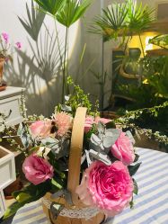 -芳香乐府疗愈空间·SPA·冥想