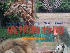 -广州动物园