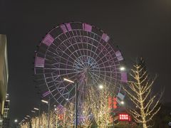 -南昌之星摩天轮