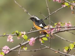 -太阳宫公园