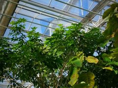 -中国农科院国家农业科技展示园