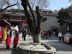 -华清宫景区