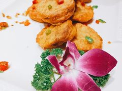 -巴特餐饮6加1音乐餐吧·新疆菜