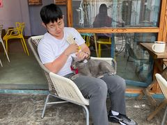 -喵屿·大理花园猫咖