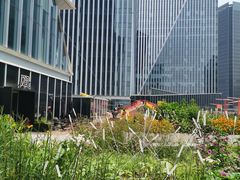 -凤凰湘语·湘粤鲜融(浦东旗舰店)