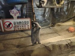 -酷嗒动物文化乐园(cutezoo西溪乐天城店)