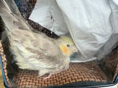 -苏州河梦清园环保主题公园