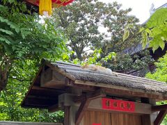 -龙华素斋(龙华路店)