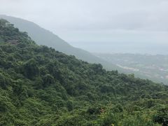 -亚龙湾热带天堂森林公园