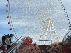 -南昌之星摩天轮