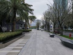 -招商蛇口邮轮母港(观光客运)
