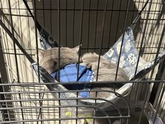 -第三空间·趣味桌游·轰趴.室内CS.剧本杀(大武汉1911店)