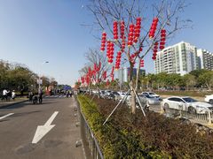 -宝安西湾红树林湿地公园