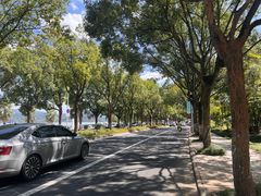 -东钱湖旅游度假区