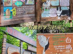 -红山森林动物园