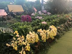 -兰陵国家农业公园