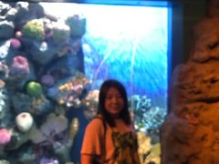 -暹罗海洋世界