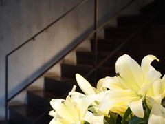 -Apollo·西班牙小酒馆(安福路店)