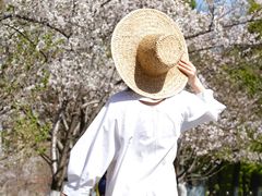 -西北湖绿化广场