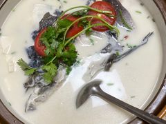 -全乐鱼馆·淳牌有机鱼直营店