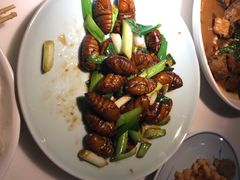 -日丰园海肠水饺·老字号大连海鲜(和平广场店)