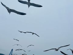 -星海广场