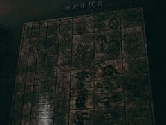 -世界恐龙谷景区